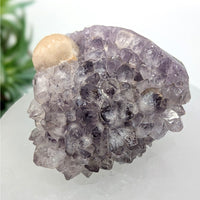 Boytroidal Fluorite ’Egg’ 2.7’’ on Amethyst Cluster #LV9232