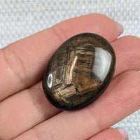 Thumbnail for Bronze Sapphire 1.2’ palm stone #LV4810 featuring a large black and white tiger’s eye stone