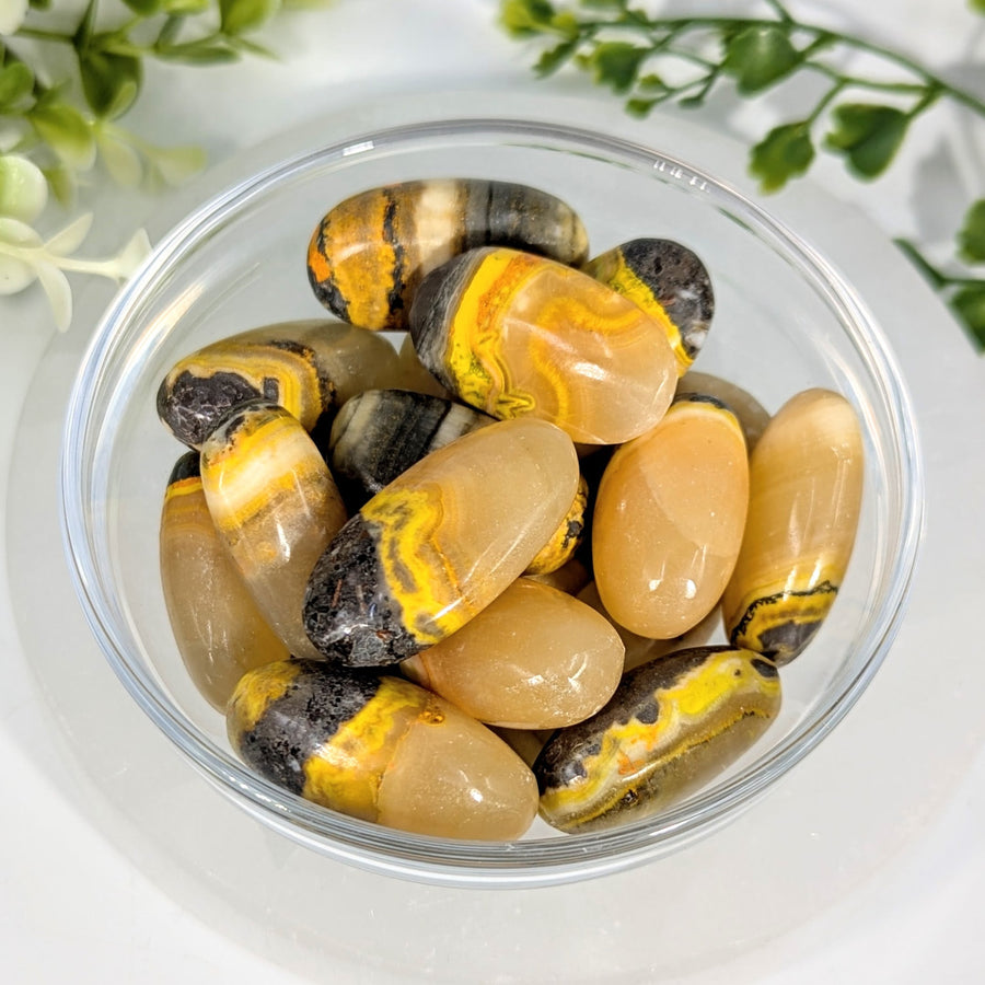 Polished bumblebee jasper stones 1 to 1.6 inch oval tumbles in yellow and black bands in a clear glass bowl