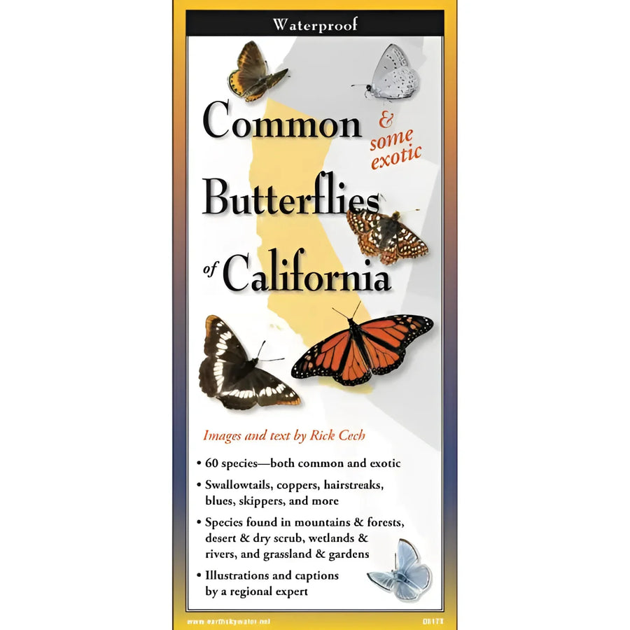 Common butterflies of California featured in the ’Butterflies of California Field Guide #LV3702’