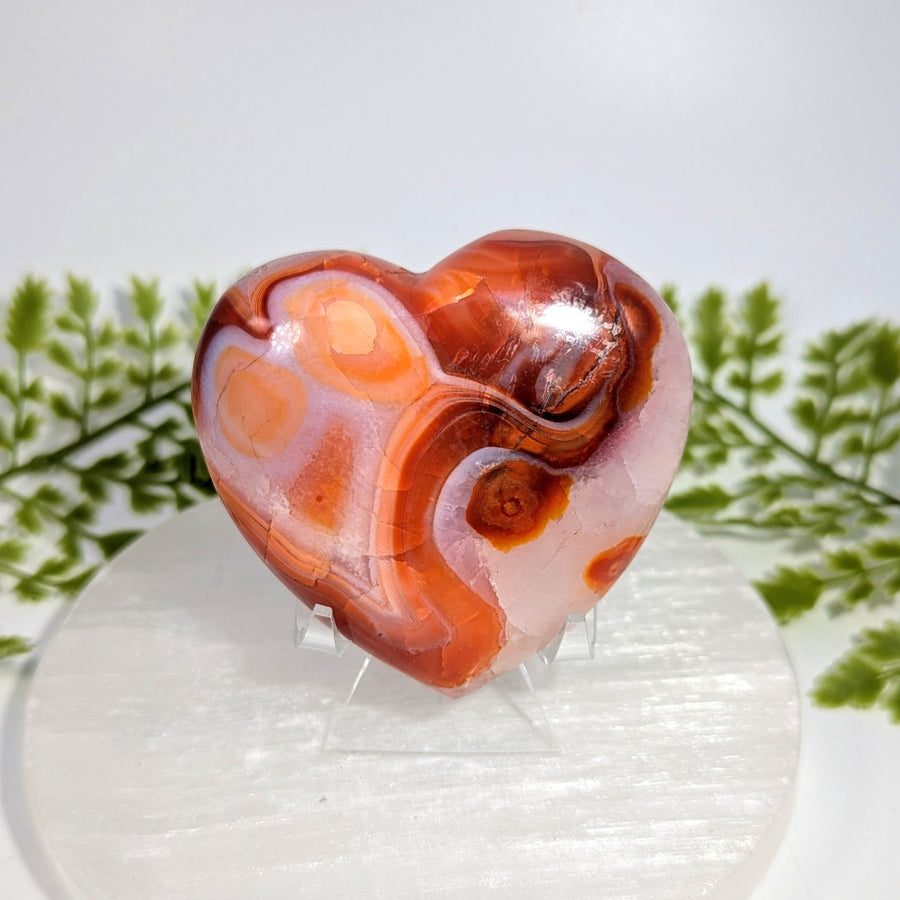 Carnelian  2.75" Heart #BC1518
