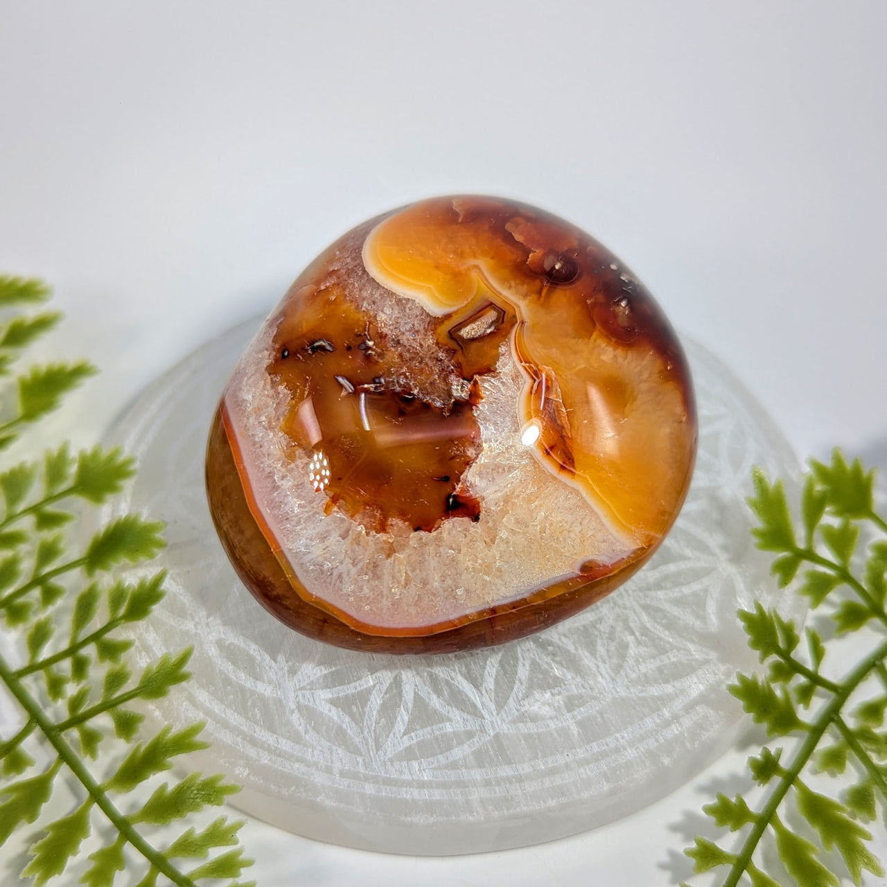 Carnelian 3.1 inch pebble geode #BC1141 with amber brown crystals
