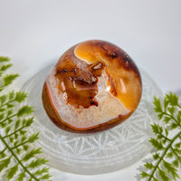 Carnelian 3.1 inch pebble geode #BC1141 with amber brown crystals