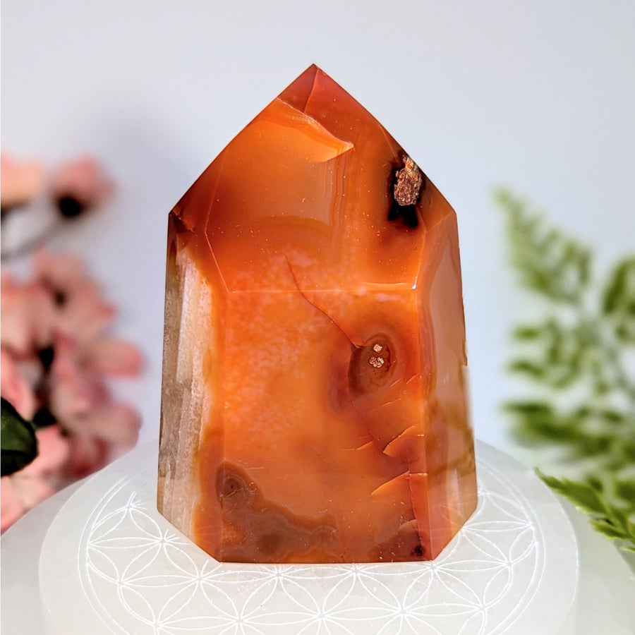 Polished carnelian 3.5-inch generator tower #BC0742 on selenite base