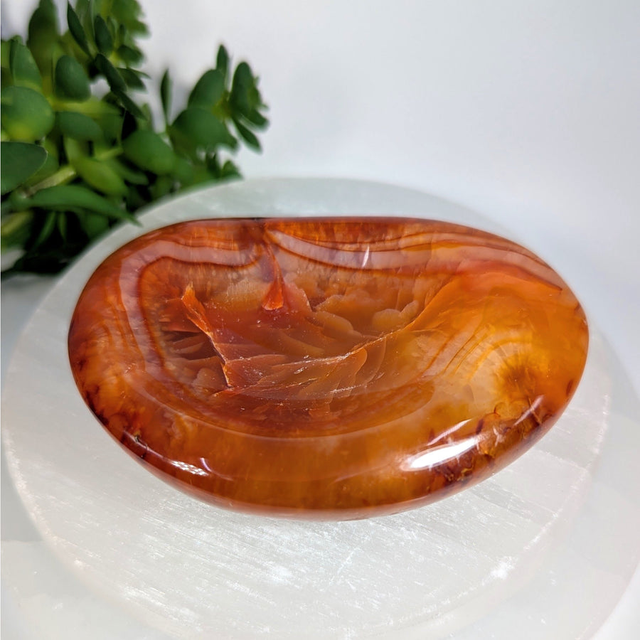 Polished oval orange agate stone with amber brown swirls in Carnelian 3.5’’ bowl #BC0603