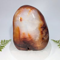 Carnelian 5 inch freeform polished agate stone with warm amber and creamy white hues for jewelry and crystals