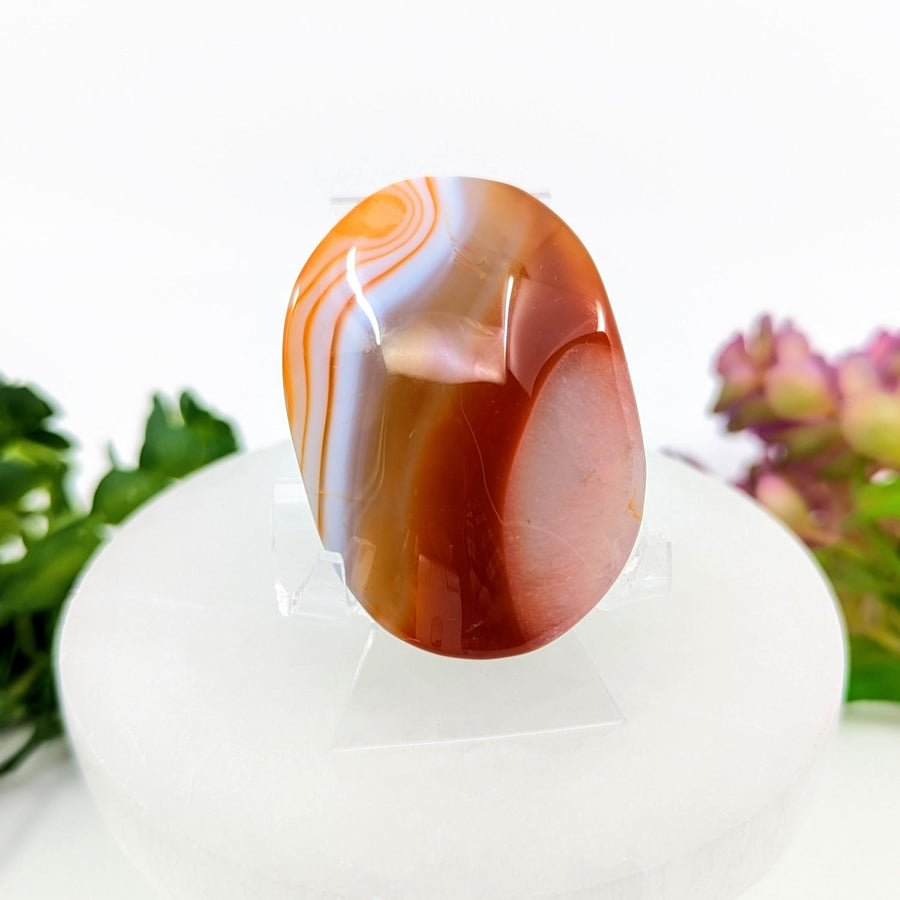 Orange and white carnelian agate 2.1-inch palm stone on display stand #BC0069