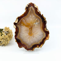 Thumbnail for Carnelian Agate 6.5’’ Polished Slab #LV6357 - $69