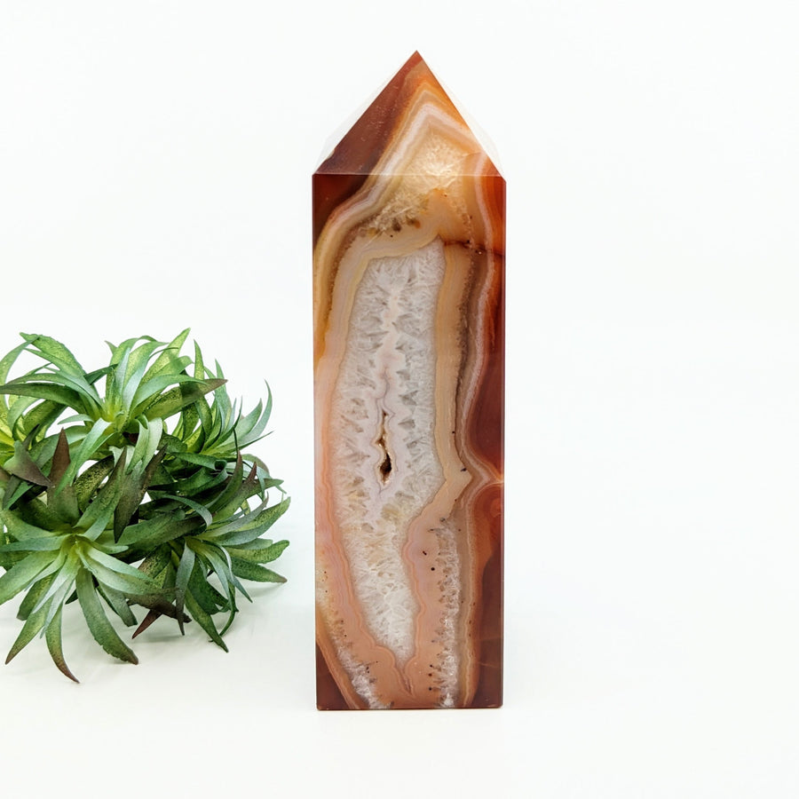 Carnelian Agate #G049 - $215