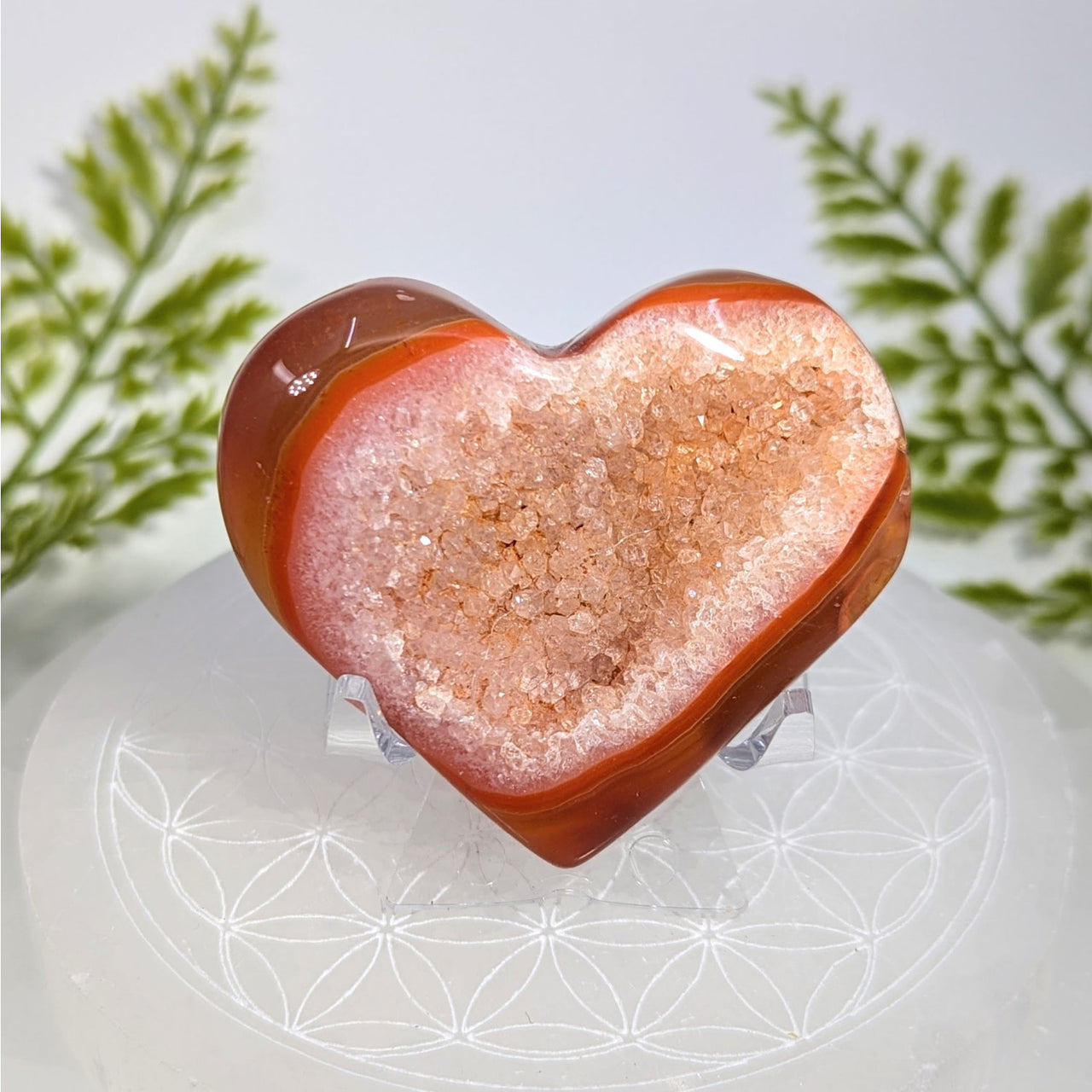 Polished carnelian druzy 2.25-inch heart geode #BC0881