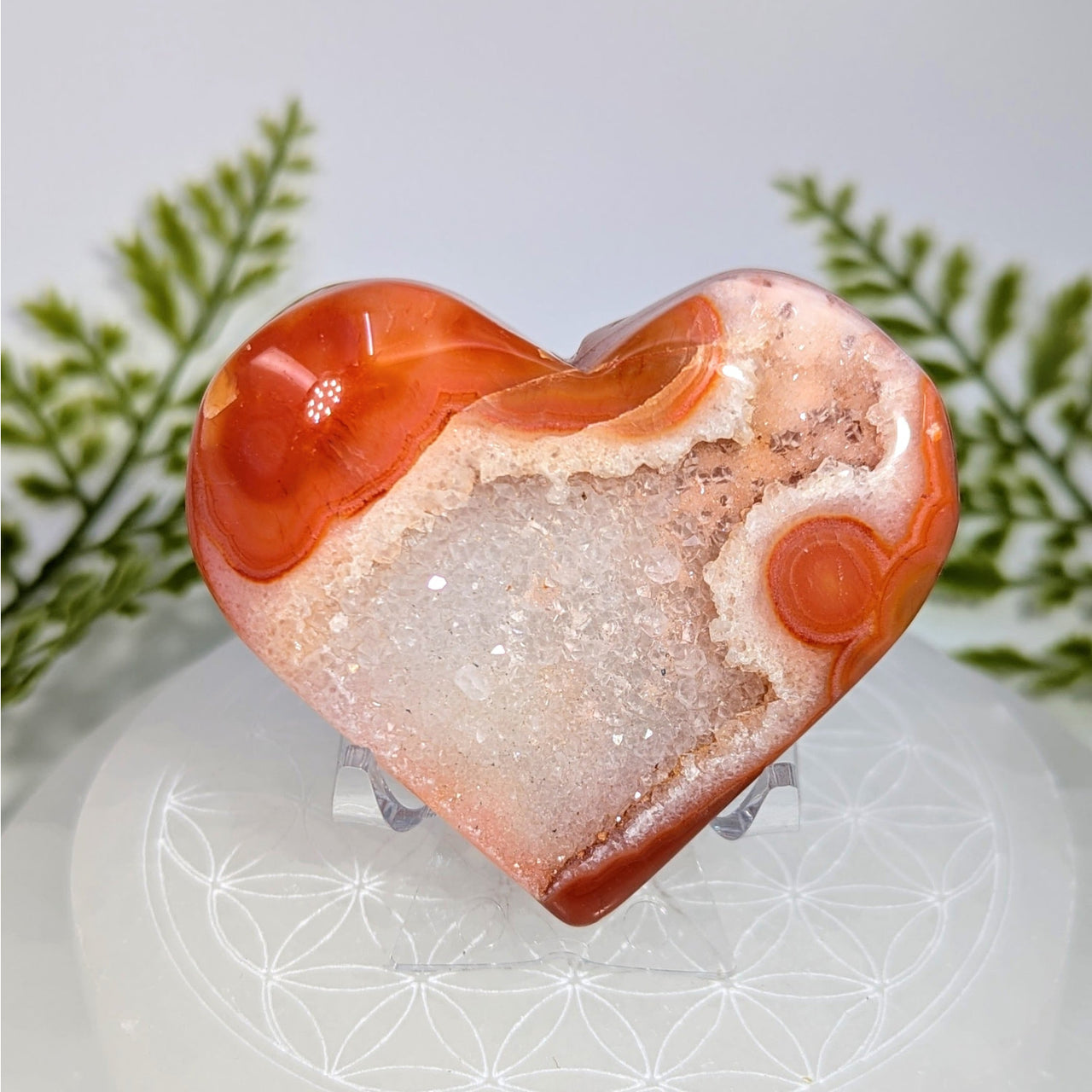 Polished orange white carnelian druzy 2.5 inch heart geode BC0880