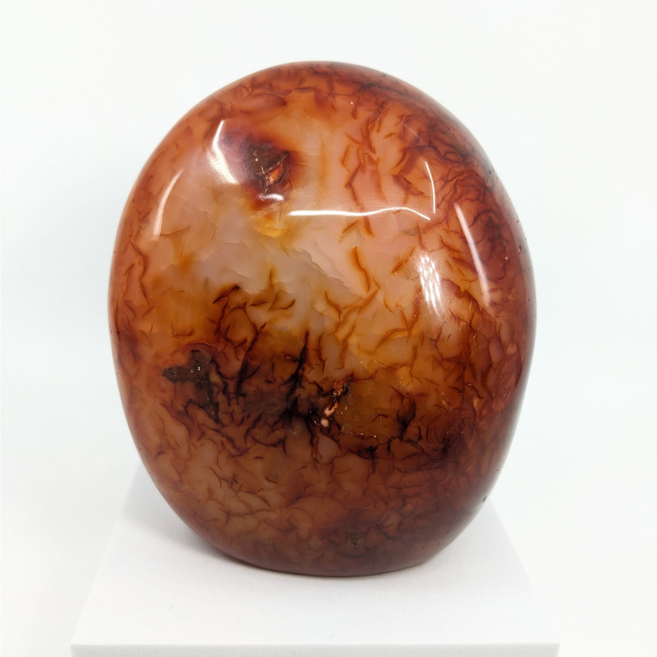 Brown & white marble sphere on white pedestal - Carnelian Freeform (1218g) #LV0638