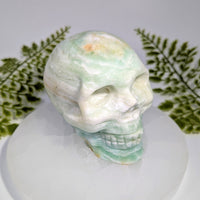 Polished green white aventurine skull carving with orange veining BC1006