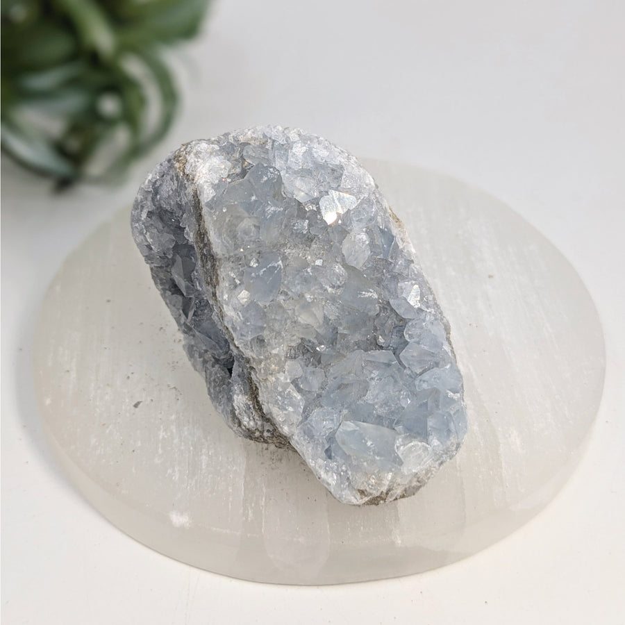 Pale blue Celestite cluster displayed in Celestite 2.5-inch Geode Cluster #LV7410