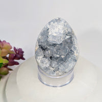 Translucent 2.5-inch Celestite geode egg with clear and gray crystals #BC0246