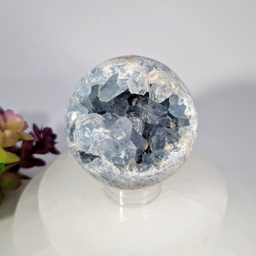 Celestite 2.5’’ Geode Sphere #BC0247 with translucent blue-green crystals