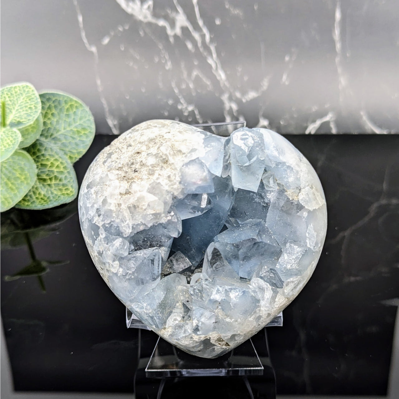 Large blue quartz heart on black stand - Celestite 2.9’ Geode Heart #LV5714