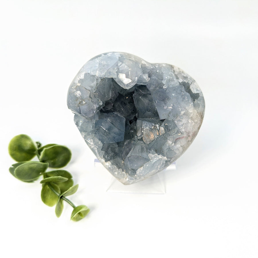 Celestite 2.9’’ Heart Geode #LV5649 - $98