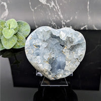 Thumbnail for Heart-shaped aquamarine quartz with clear quartz in Celestite 3.2’ Geode Heart #LV5711