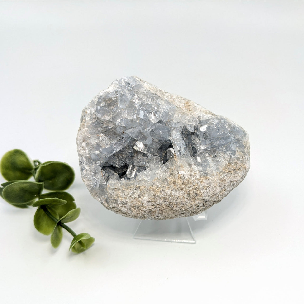 Celestite 3.2’’ Geode #LV5655 - $59