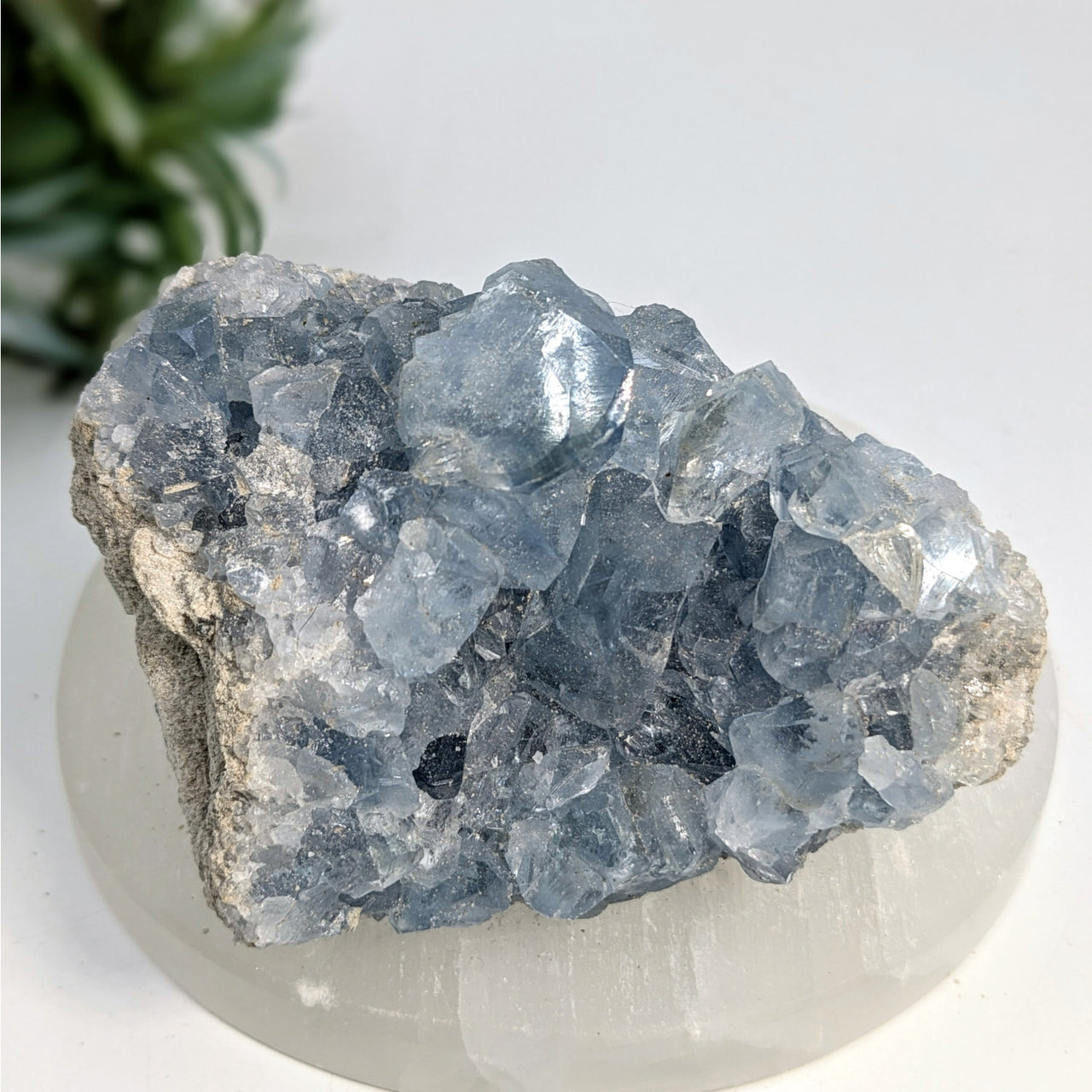Blue Celestite crystal cluster in a 3.5-inch geode cluster product display