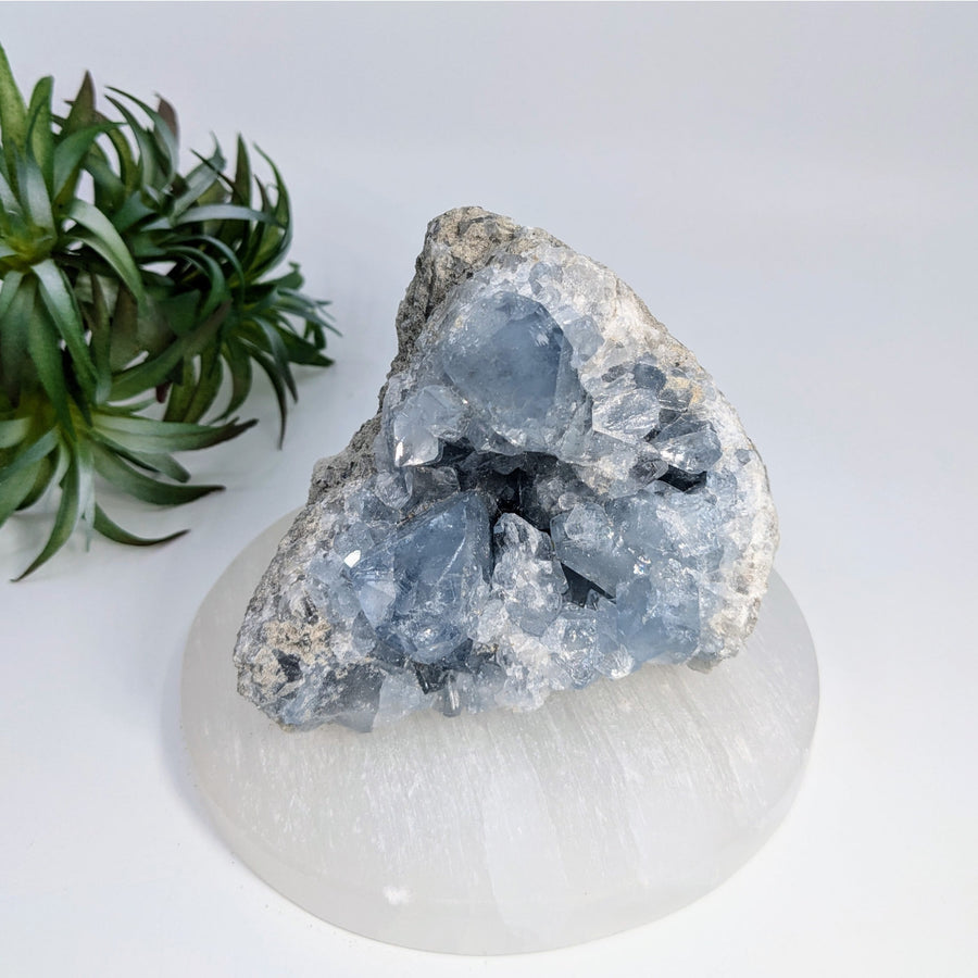 Celestite 3.5 inch geode cluster sale for benevolent spirit guides and soothing sleep issues