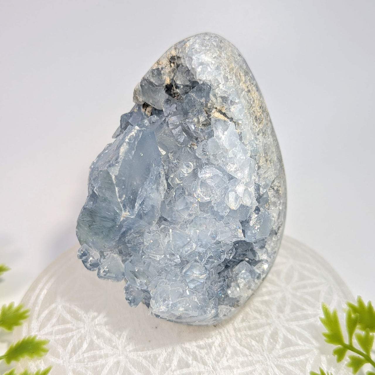 Celestite 3.6’’ freeform geode #BC1147 with sparkling blue facets