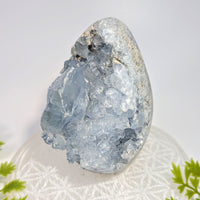 Celestite 3.6’’ freeform geode #BC1147 with sparkling blue facets
