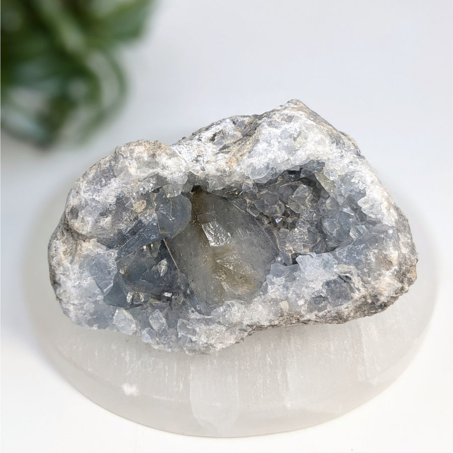 Celestite 3-inch geode cluster with blue crystals, ideal for benevolent spirit guides and soothing sleep issues