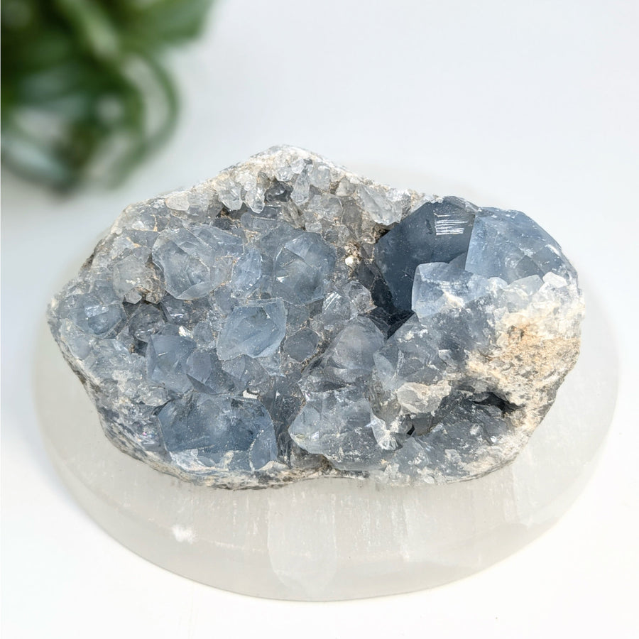 Blue Celestite Crystal Cluster in 3-inch Geode Display for Serenity and Spiritual Healing