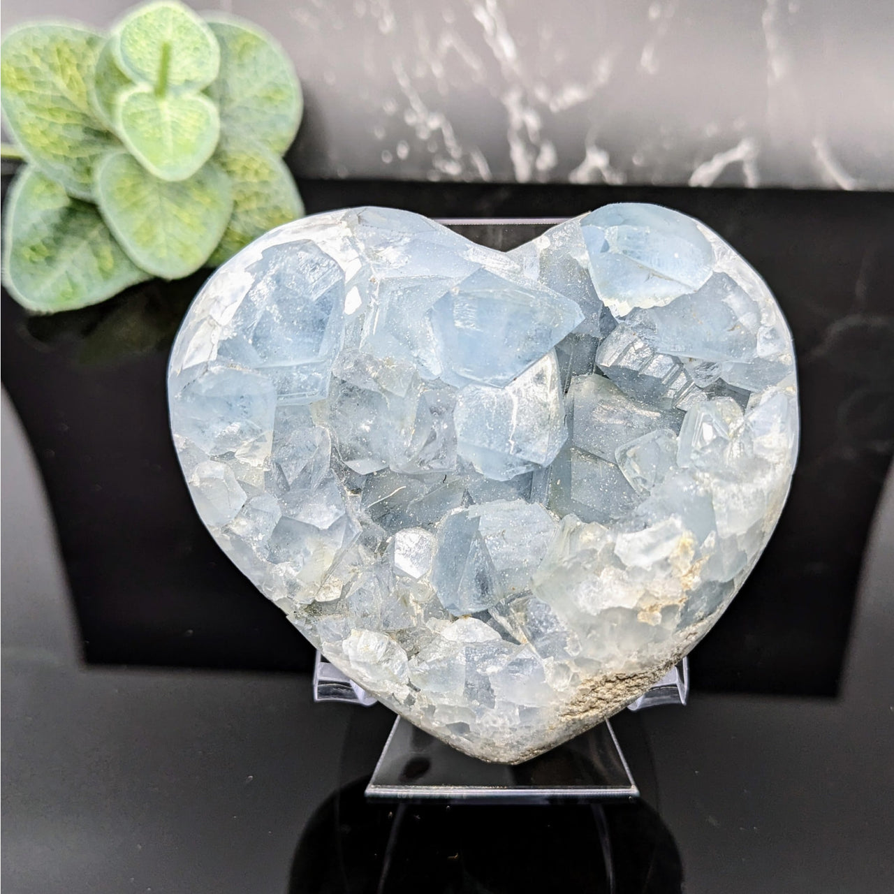 Heart-shaped aquamarine quartz with plant - Celestite 3’ Geode Heart #LV5710