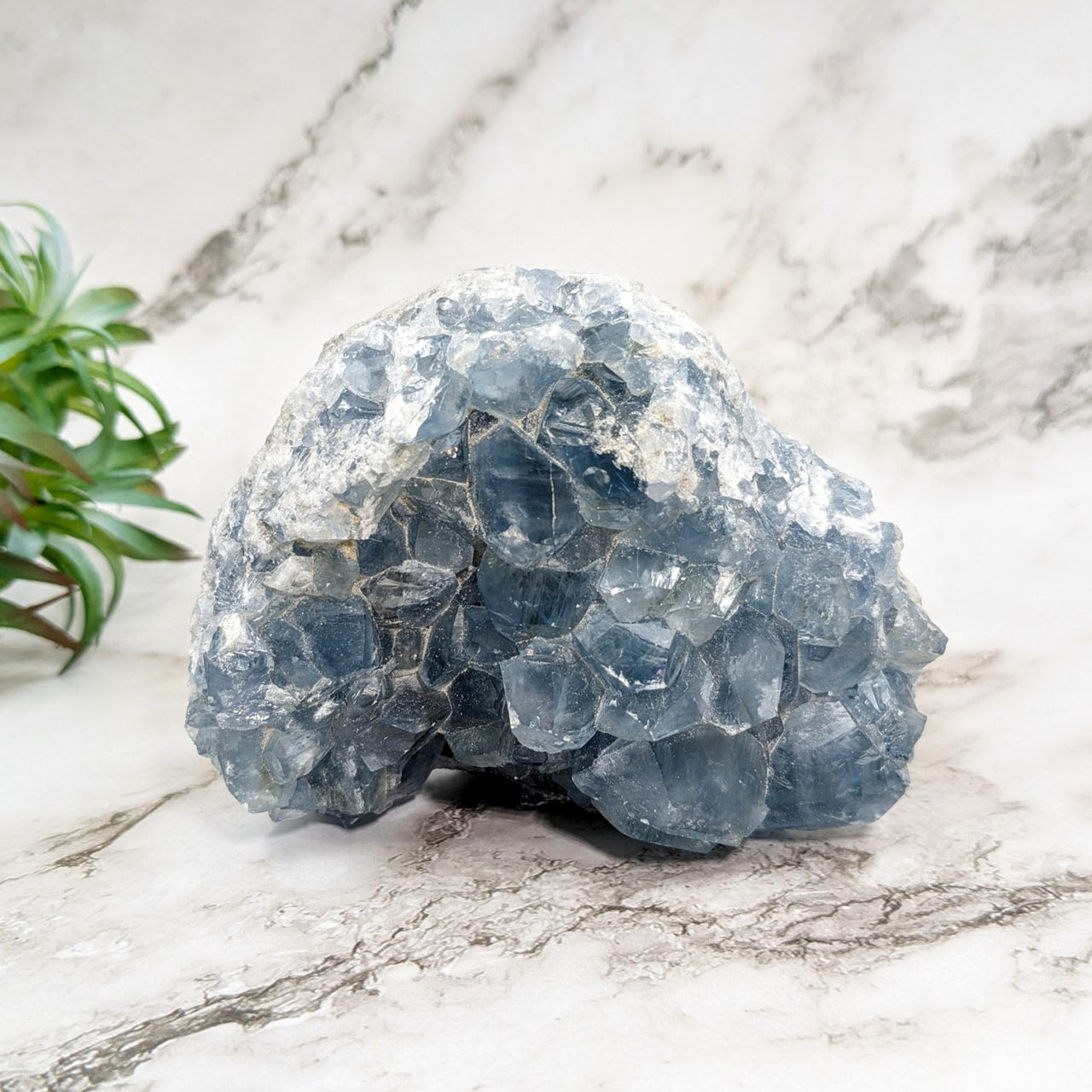 Celestite 4.1’ Geode #LV4534: Blue mineral displayed on a marble counter