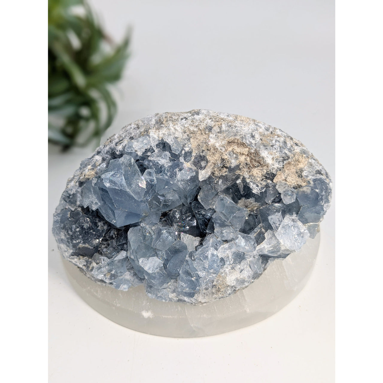 Blue Celestite Geode Cluster 4.5 inch with vibrant crystal formations