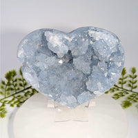 Celestite 4.5’’ geode heart #BC0838 with sparkling light blue crystals
