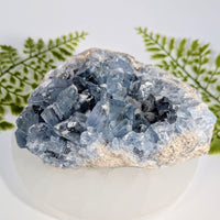 Stunning 4.6-inch blue fluorite geode cluster Celestite #BC1053