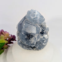 Translucent blue-gray fluorite crystal cluster in 4’’ Celestite Geode Freeform