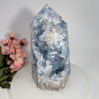 Tall faceted blue Celestite 4-inch geode generator #BC0649