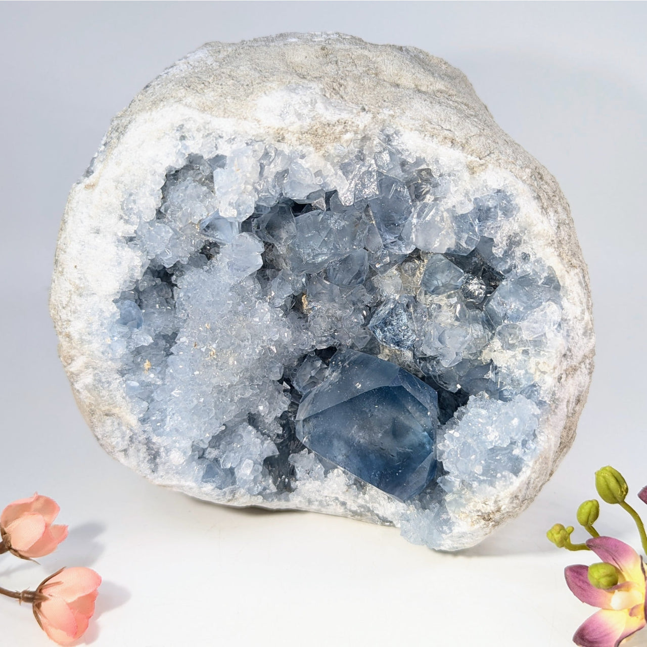 Blue fluorite geode specimen Celestite 5.6 inches #BC0369