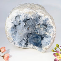 Blue fluorite geode specimen Celestite 5.6 inches #BC0369