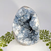 Celestite 5-inch geode freeform #BC1054 with blue crystalline interior