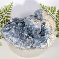 Celestite  6