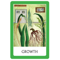Thumbnail for Green-bordered chakra wisdom oracle card with plant illustrations by Watkins Publishing