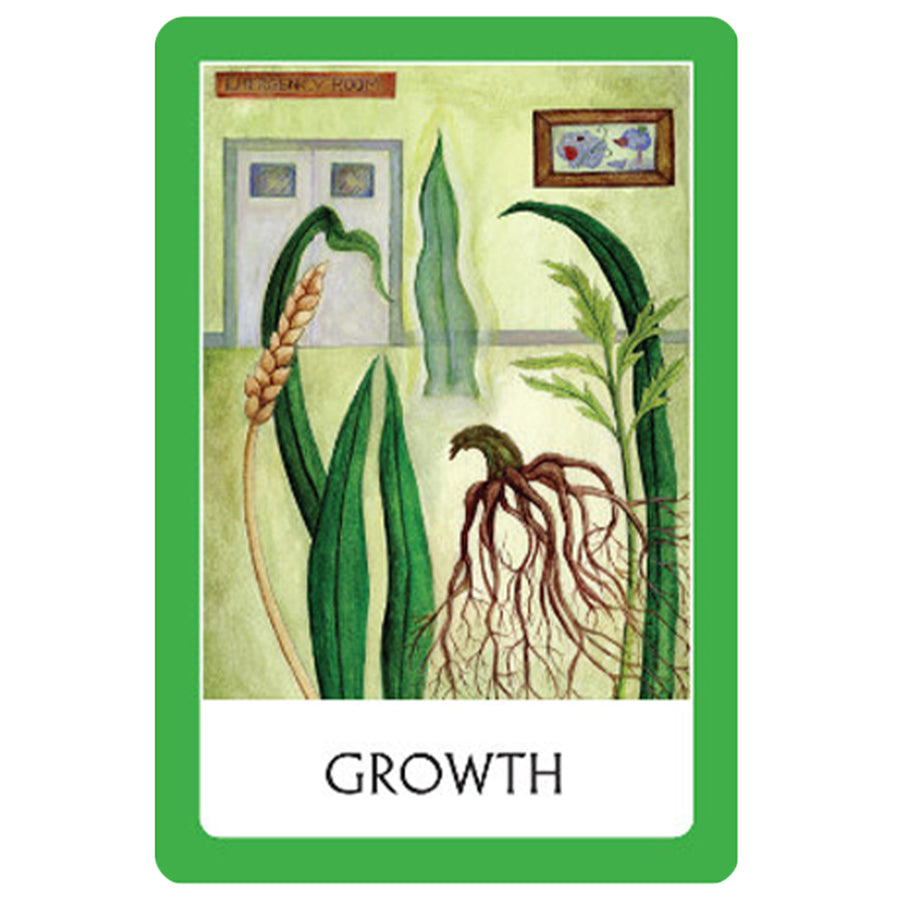 Green-bordered chakra wisdom oracle card with plant illustrations by Watkins Publishing