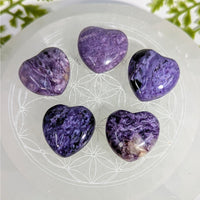 Five 1-inch purple black chalcedony heart stones on glass, Charoite #BC0925