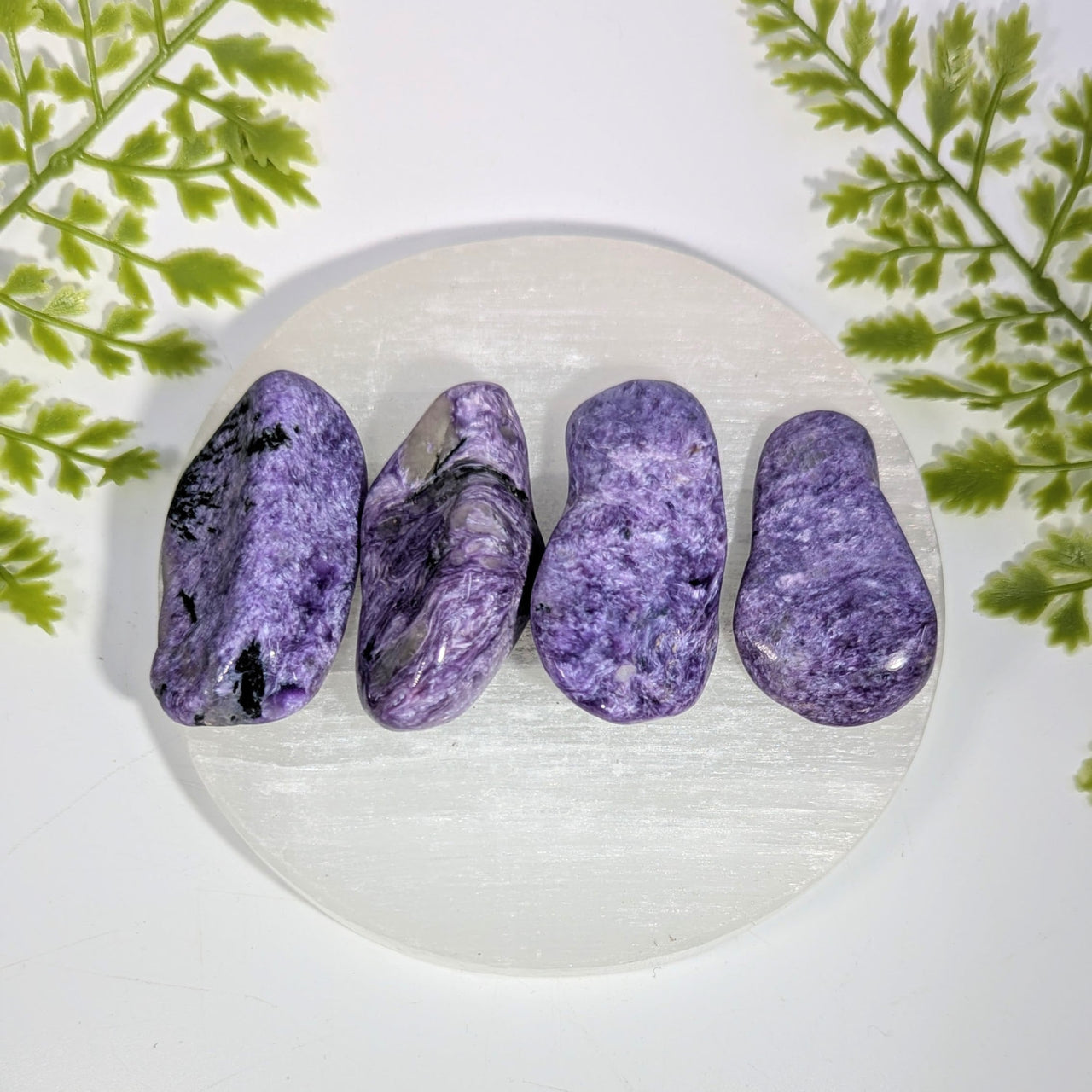 Charoite  2-2.25" Pebble #BC1531