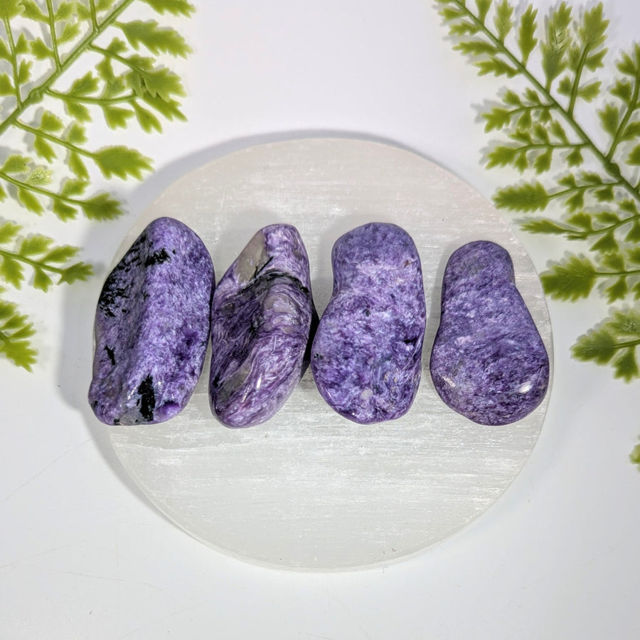 Charoite  2-2.25" Pebble #BC1531