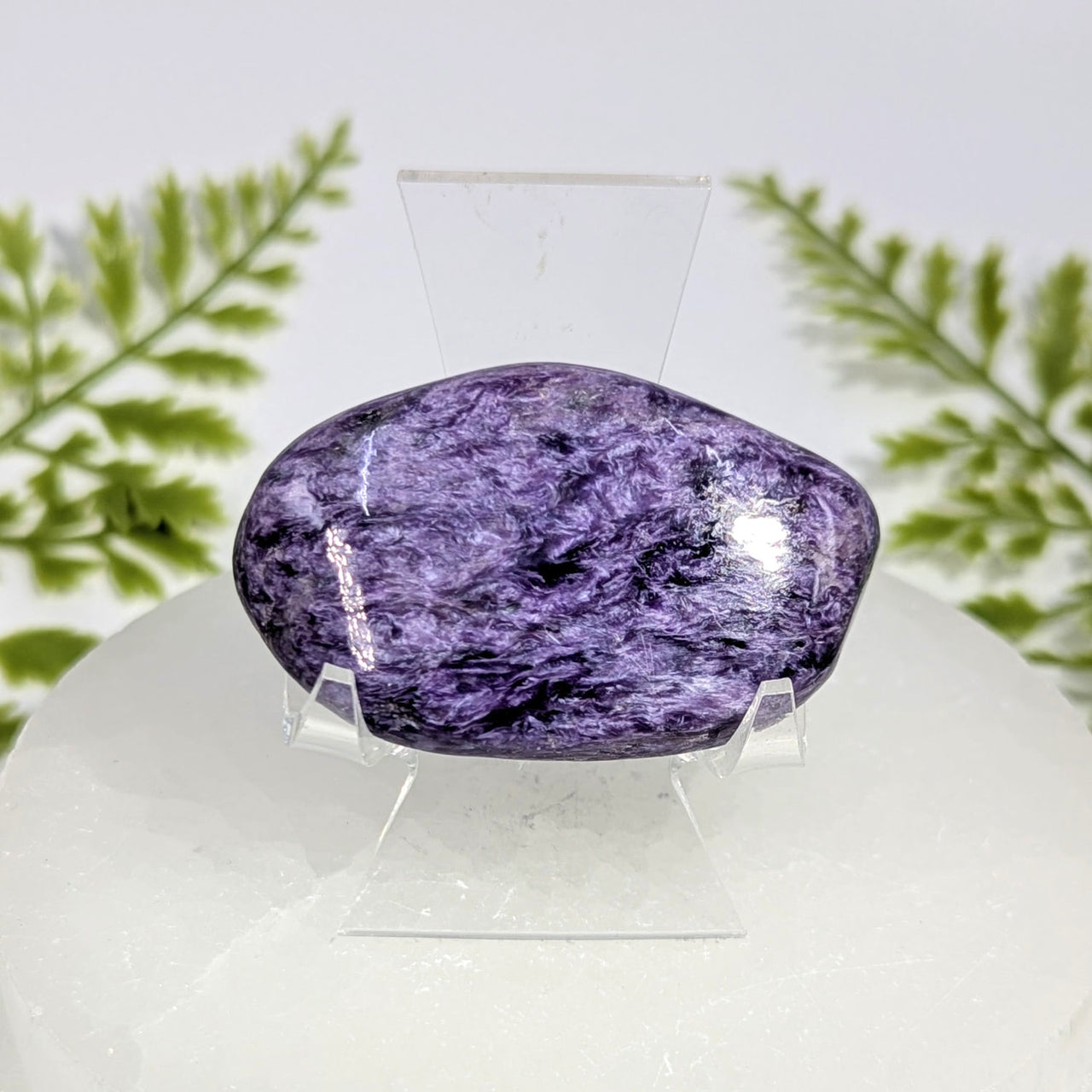 Charoite  2.25" Pebble #BC1529