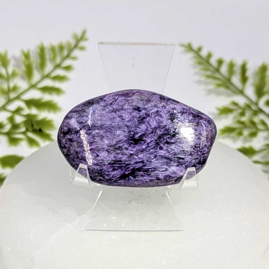 Charoite  2.25" Pebble #BC1529