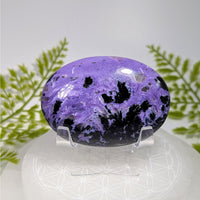 Polished oval purple black charoite druzy 2.7’’ palm specimen #BC0924 on acrylic stand
