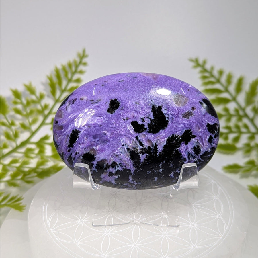 Polished oval purple black charoite druzy 2.7’’ palm specimen #BC0924 on acrylic stand
